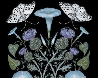 Morning Glory and Thistle - Print