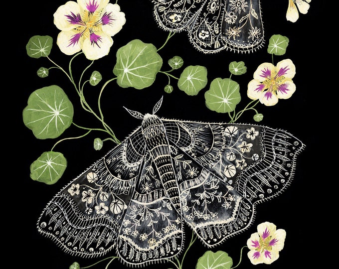 Nasturtium Moths - Print