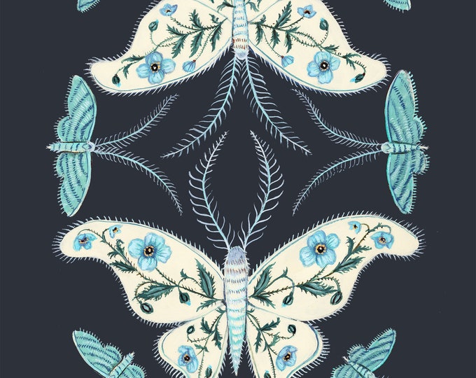 Blue Poppy Moths - Print