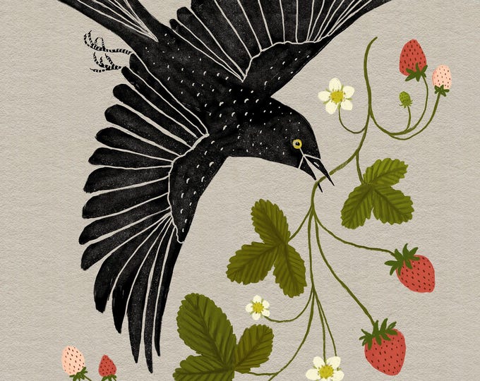 Strawberry Blackbird - Botanical Art - Art Print