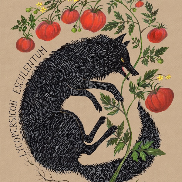 Wolf Peach - Print