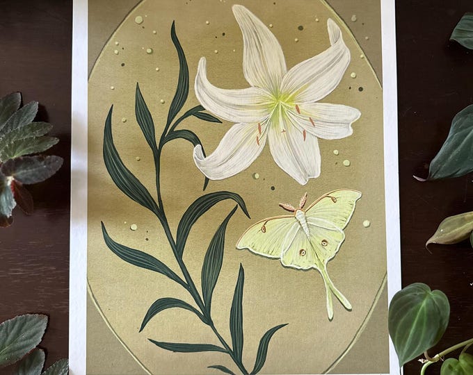 Lily and Luna Moth - Botanical Art - Art Print