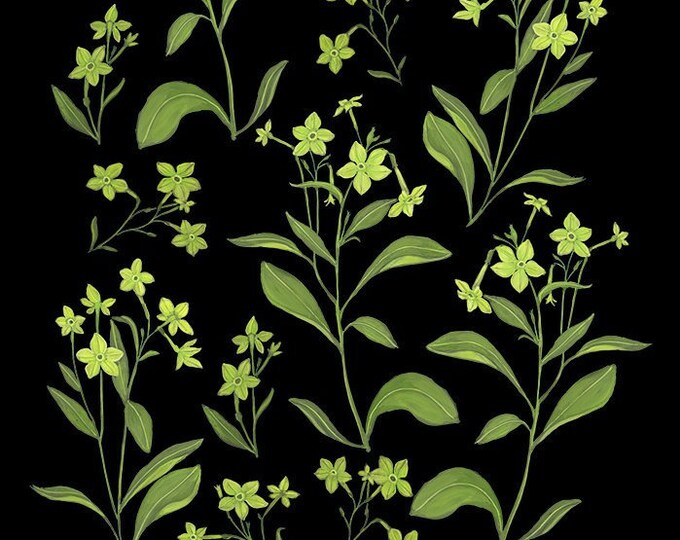 Nicotiana Lime - Print