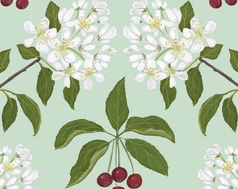 Malus baccata - Print