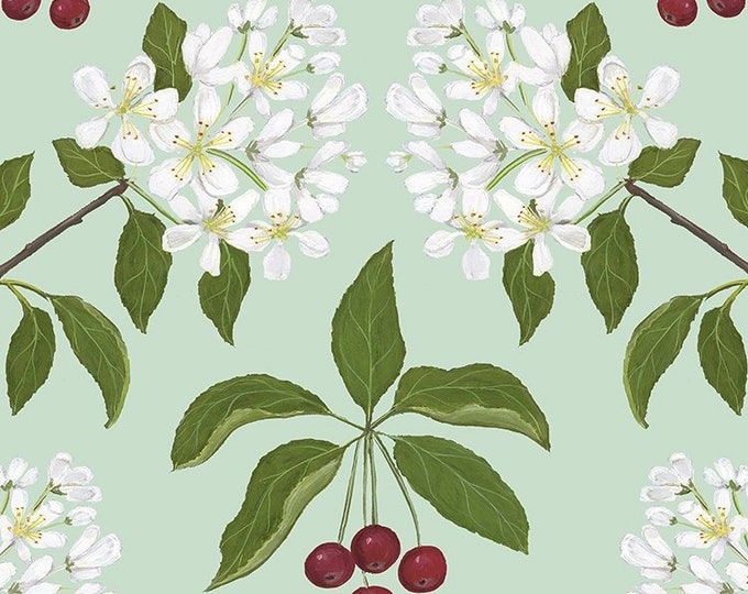 Malus baccata - Print