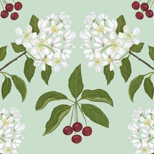Malus baccata - Print