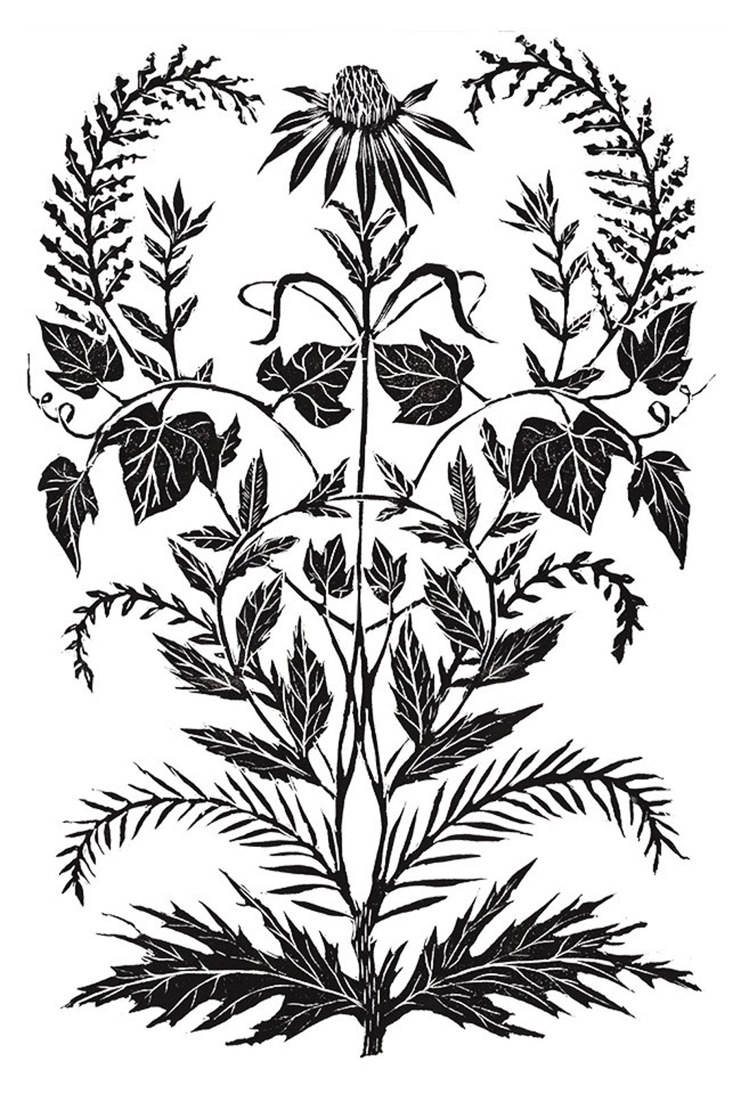 Wild Weeds - Print - Etsy