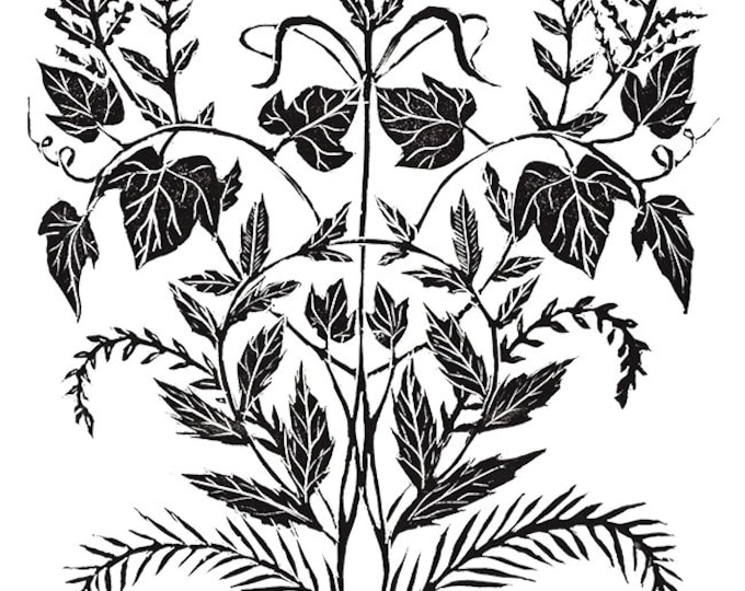 Wild Weeds - Print