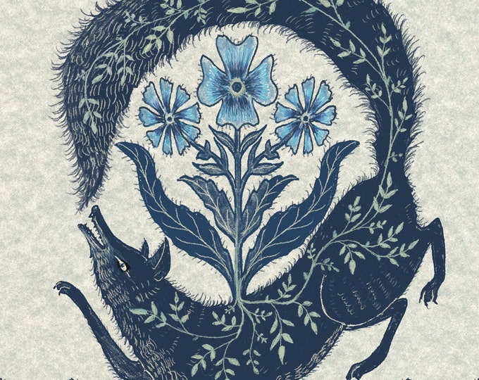 A Fox Chasing Its Tail - Print