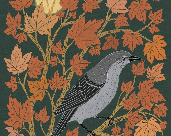 Mockingbird in a Maple Tree - Art Print