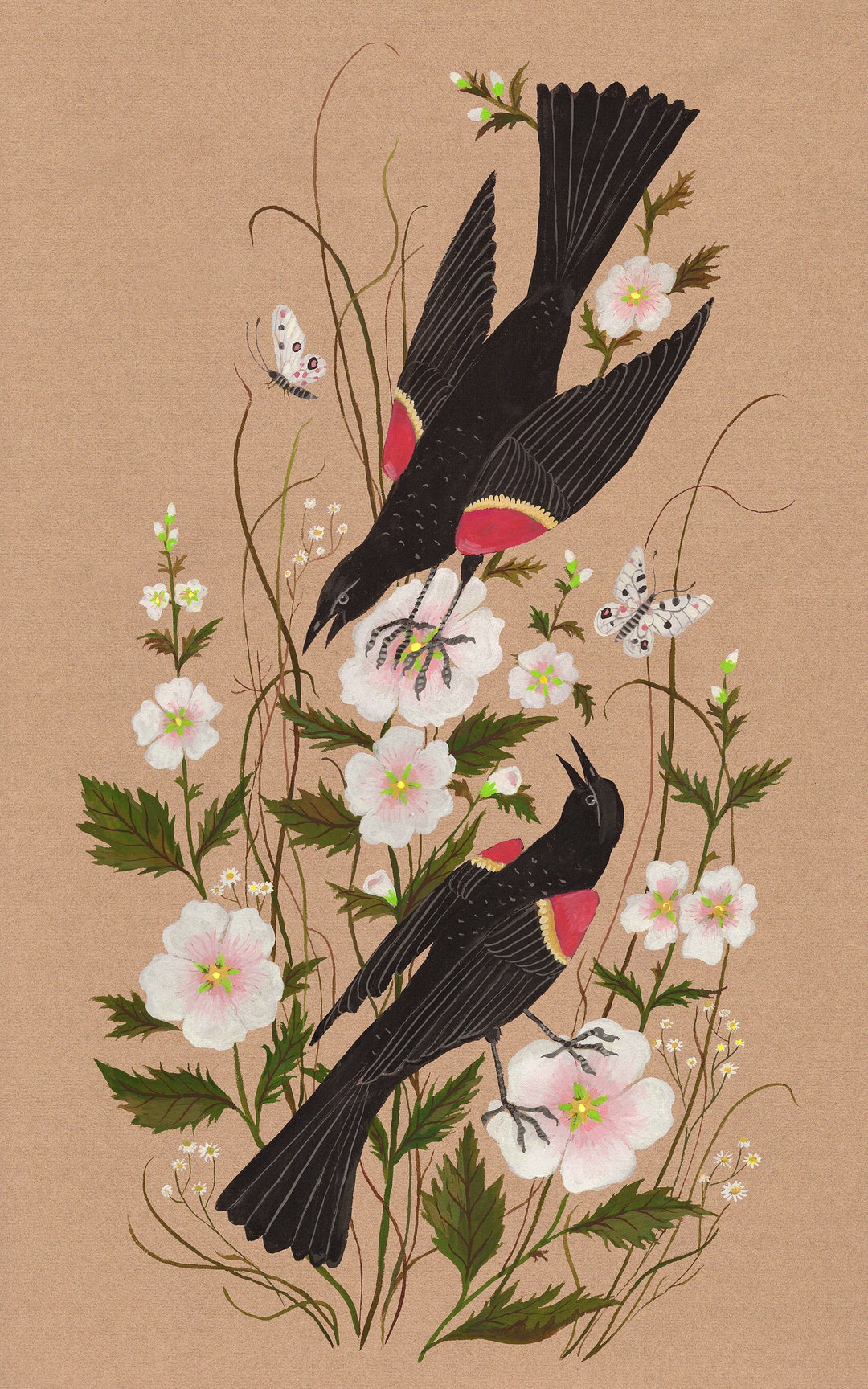 Red-winged Blackbirds Print - Etsy