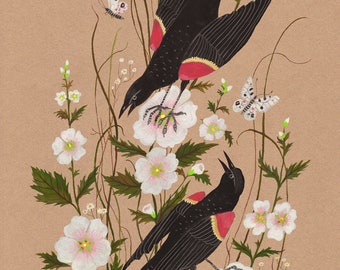 Red-winged Blackbirds - Print