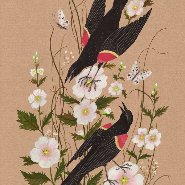 Red-winged Blackbirds - Print