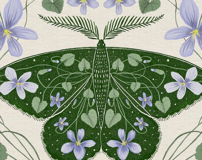 Wild Violet Moth - Botanical Moth - Art Print