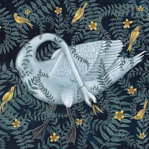 Cisne enredado - Imprimir