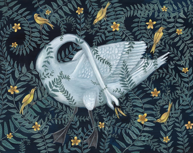 Swan Entangled - Print