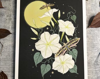 Moonflowers with Sphinx Moths - Print