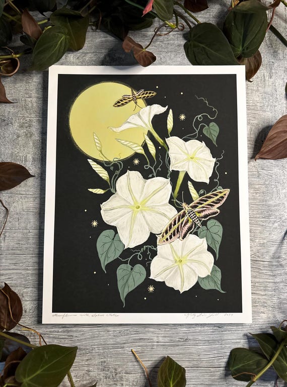 Moonflowers With Sphinx Moths - Print - Etsy