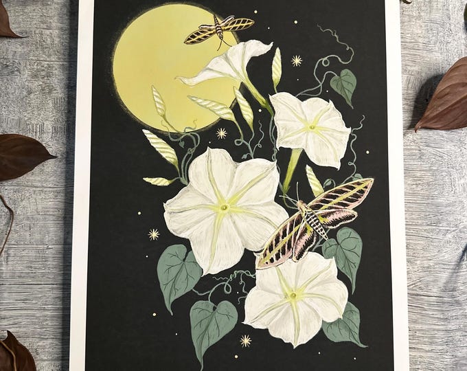 Moonflowers with Sphinx Moths - Print