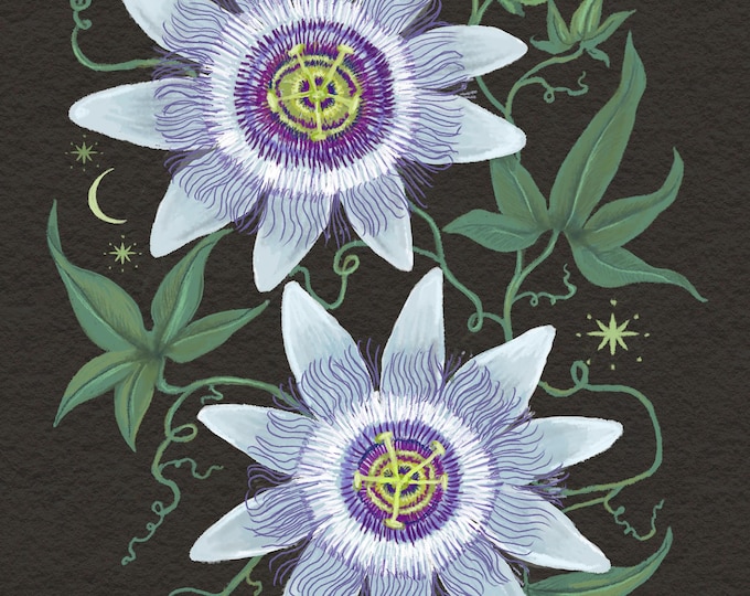Passionflower - Botanical Art - Print