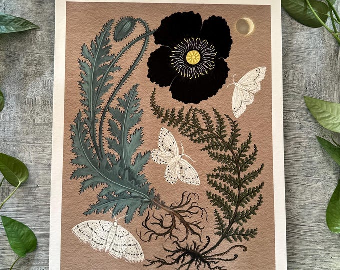 Poppy and Fern - Print