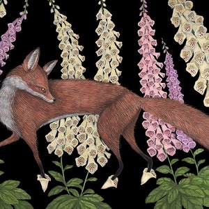 Foxgloves - Print