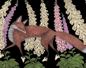 Foxgloves - Print