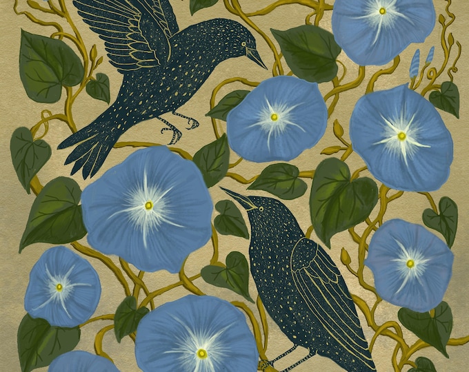 Morning Glories with Starlings - Botanical Art - Art Print