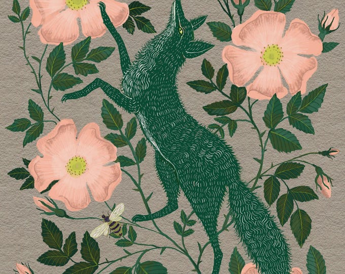 Wild Rose Fox - Fox Art - Print