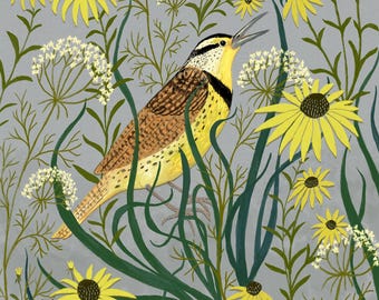 The Meadowlark - Bird Art - Art Print