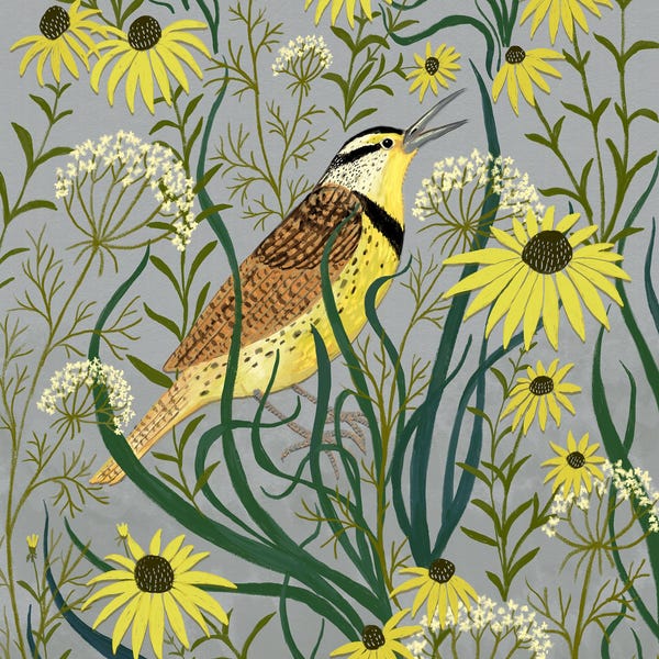 The Meadowlark - Bird Art - Art Print