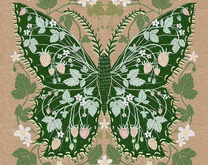 Strawberry Moth - Moth Art - Print