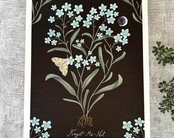 Forget Me Not - Botanical Art - Herbal Art - Print