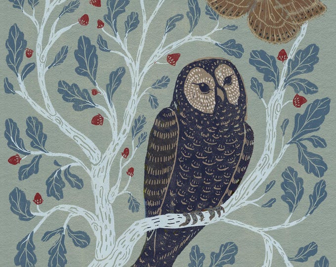 Owl in an Oak Tree - Art Print