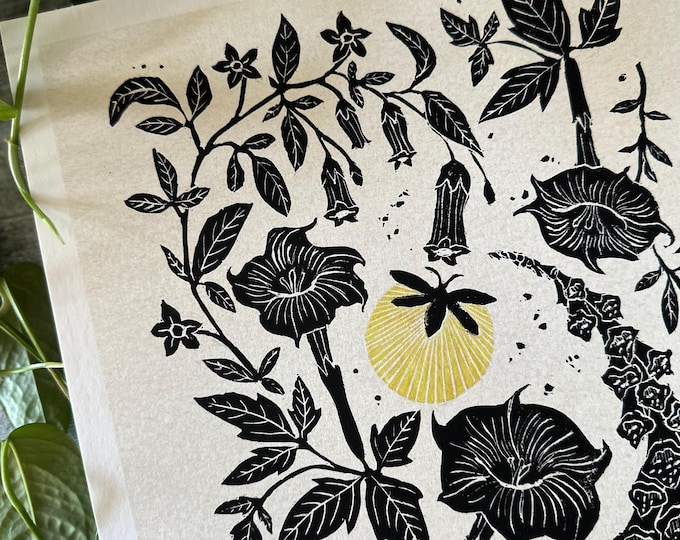 Glow - Black on Cream - Botanical Art - Art Print
