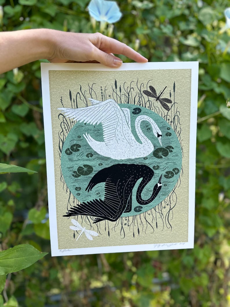 Reflection - Swan Art - Print - Etsy