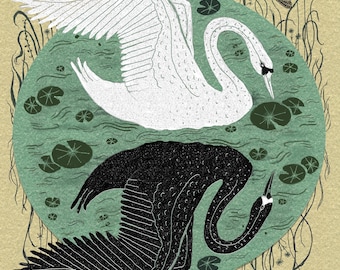 Reflection - Swan Art - Print