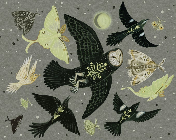 Night Flight - Print