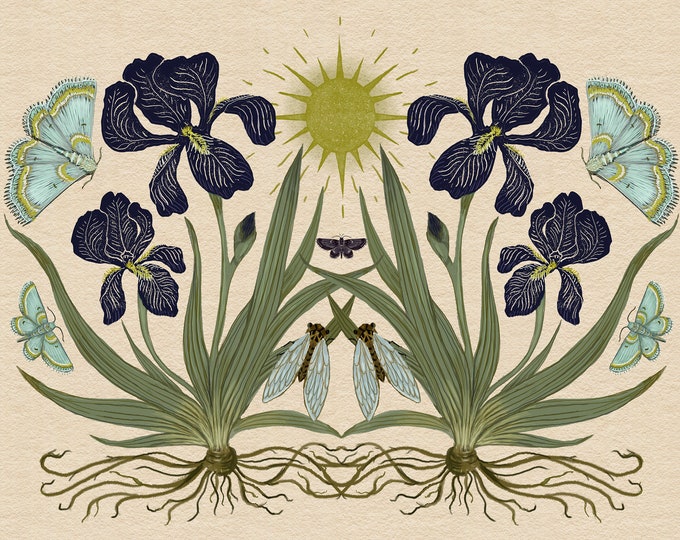 Iris with Cicadas and Moths - Print