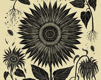 Cycles of the Sunflower - Print