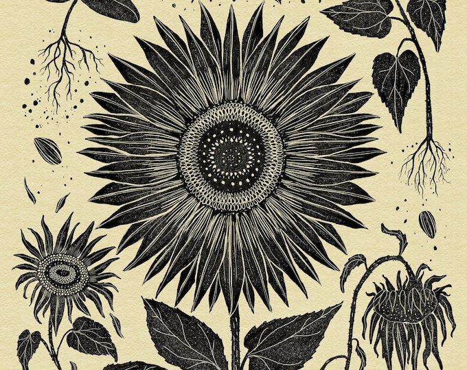 Cycles of the Sunflower - Print