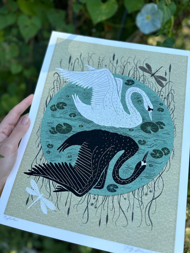 Reflection - Swan Art - Print - Etsy