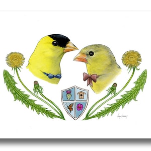 Goldfinch Bird Couple art print - Anniversary Gift - Wedding Gift - Backyard Birds - Dandelion -  Ryan Berkley Illustration - Birds