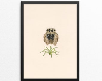 Jumping Spider / Spider Plant - Naked Animals print - Nature Art - Gallery Wall - Animal Art - Plant Art - Ryan Berkley - Wall Art