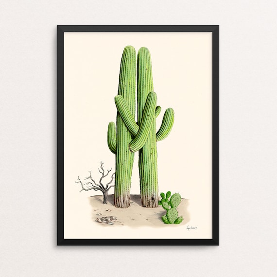 Old Friends - Nothing but Hugs Print - Cactus - Saguaro - Gallery Wall -  Animal Art - Friendship - Ryan Berkley - Kids Room Decor - Etsy