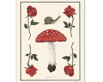 Natural Values print - Protect- Mushroom - Roses - Nature Art - Snail - Inspirational - Ryan Berkley - Wall Art - Scientific Illustration