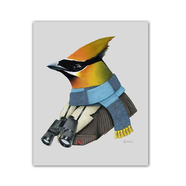 Cedar Waxwing - Bird art - bird art print - gallery wall art - bird artwork - modern decor - animal artwork - Ryan Berkley - 5x7