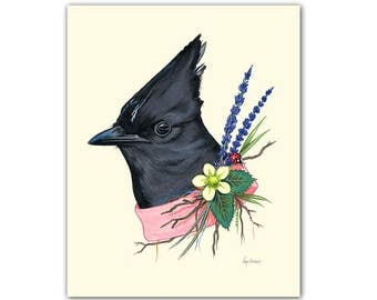 Steller's Jay art print 5x7