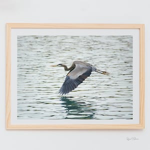 DIGITAL FILE, Printable Wall Art, Bird Photo, Wildlife Photography