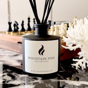 Black Matte Reed Diffuser Decor | Pine Sandalwood Frozen Forest | Minimalist Home Styling | Modern Shelf Accent | Choose Scent